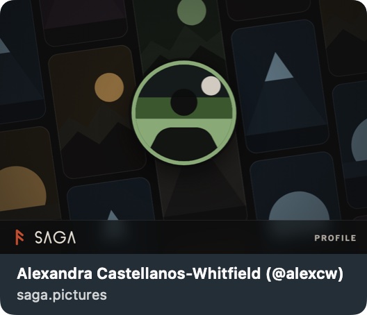 The link preview as Messages draws it, light mode