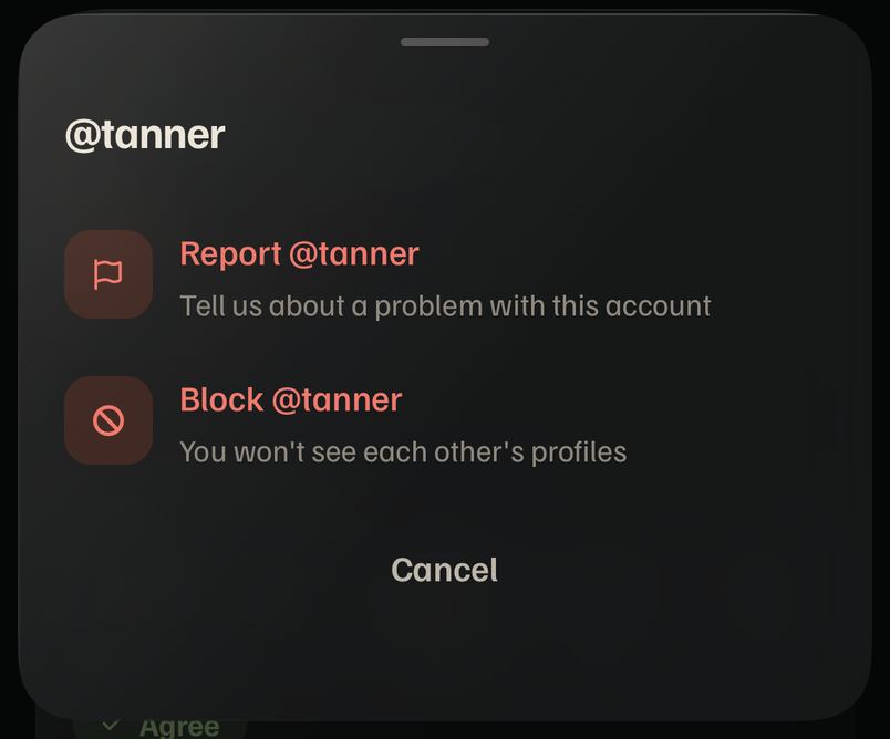Profile more sheet with Cancel